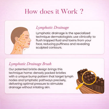Ecliora LumiSculpt™ Contour Brush